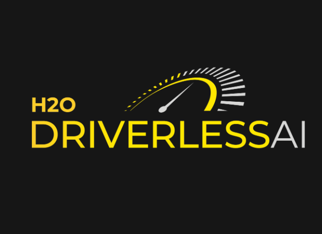 H2O Driverless AI
