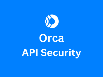 Orca API Security
