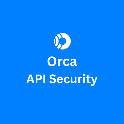 Orca API Security
