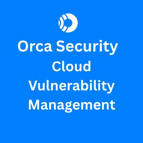 Orca Cloud Vulnerability Management